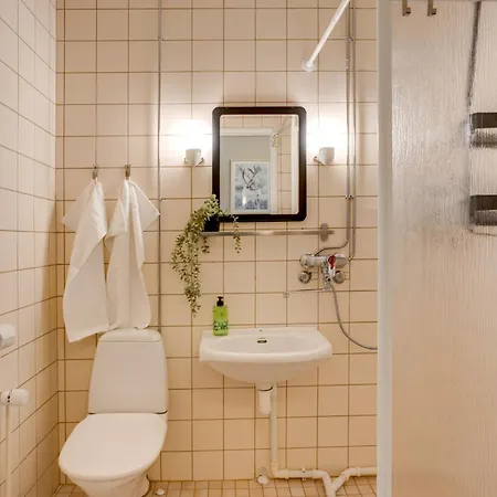 Northern Lights Apartment Rovaniemi